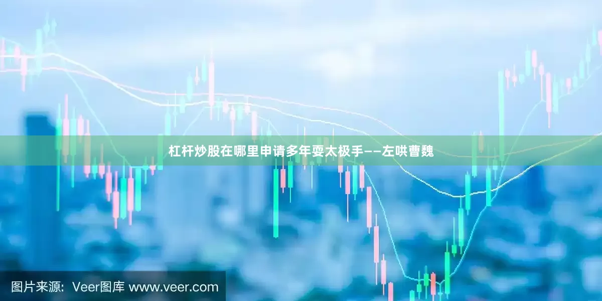 杠杆炒股在哪里申请多年耍太极手——左哄曹魏